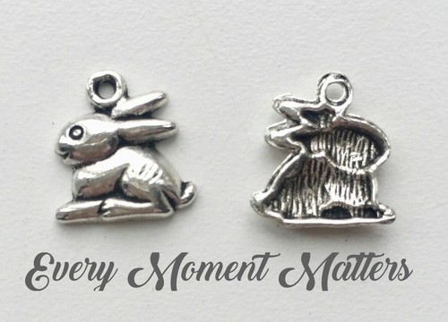 Tibetan silver rabbit - x,