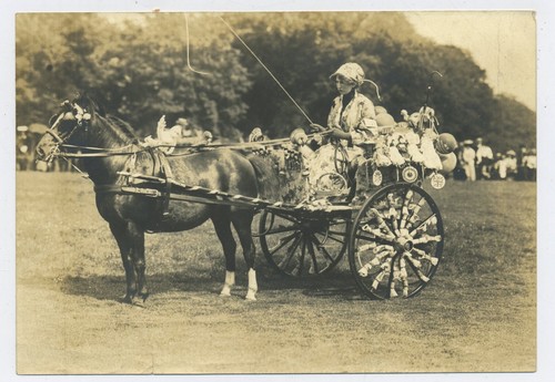 Decorated horse trap - a,
