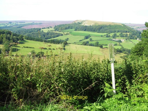 Photo 6x4 public bridleway - 6x4,