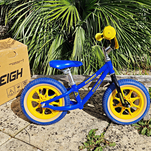 raleigh bike