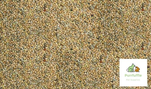 20kg budgie seed mix millet - mix, &
