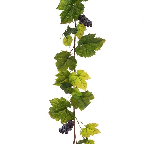 Faux silk grape vine leaf - vine, and
