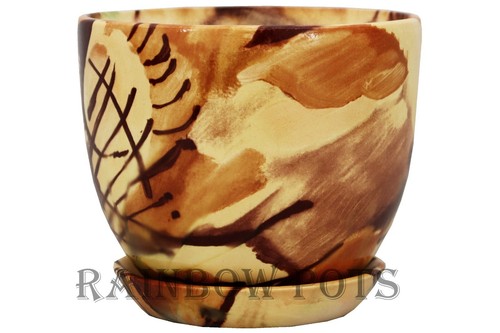 Ceramic plant pots - plant, with