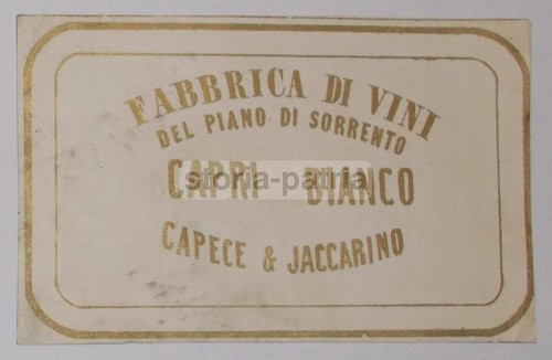 ENOLOGY_WINE_DISTILLERY_SORREN