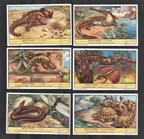 Unusual reptiles liebig card - unusual,
