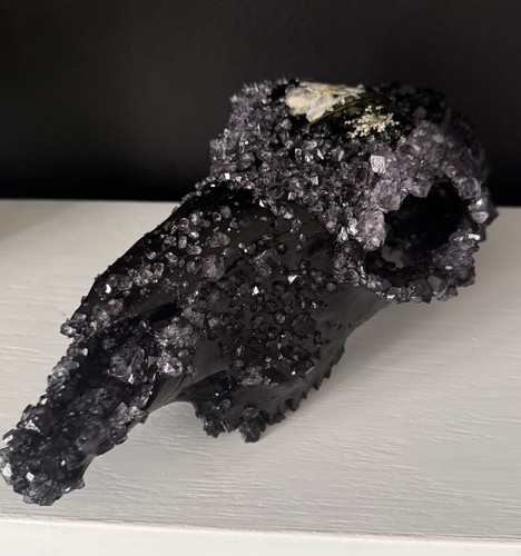 Crystal covered sheep skull - sheep,
