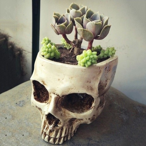 Fancy realistic human skull - fancy,