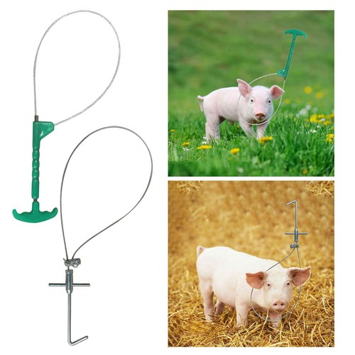 Pig holder catcher - holder,