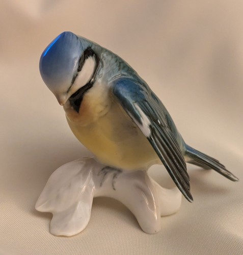Blue tit bird - tit, by