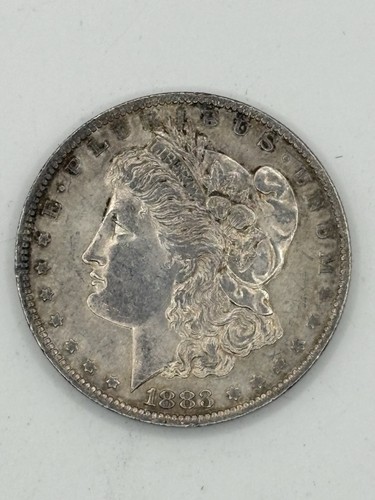 1883 usa morgan dilver - 1883,