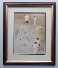 CRICKET PRINT  STREAKER