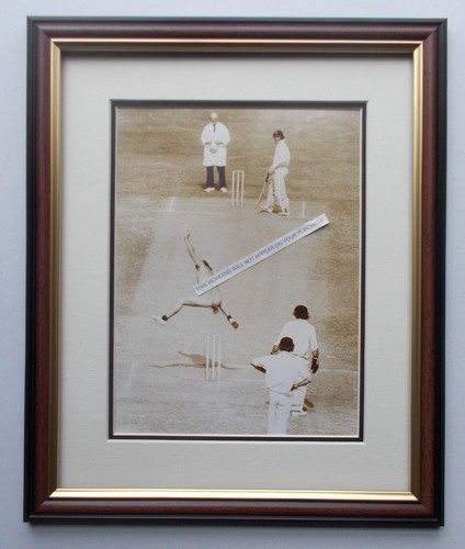 Cricket print streaker - cricket,