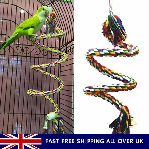 Bird toys parrot - parrot, swing