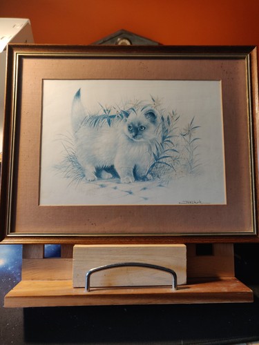 Vintage joel kirk framed - joel, cat