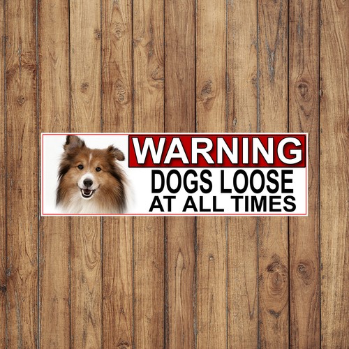 Shetland sheep dog warning - dog,