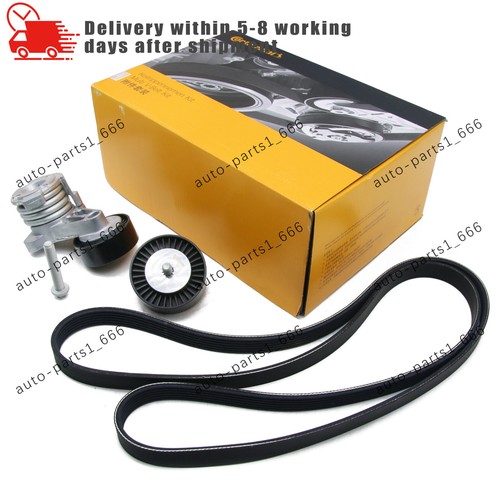 Oem new belt - belt, kit