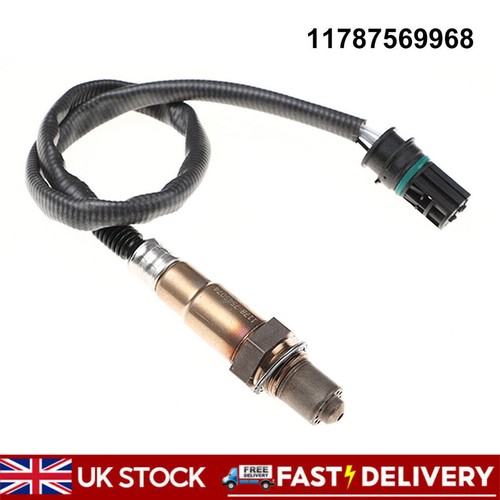 Post cat oxygen lambda - cat,