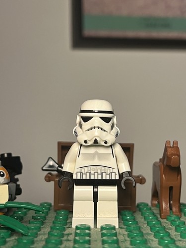 Imperial storm trooper - trooper, 2007