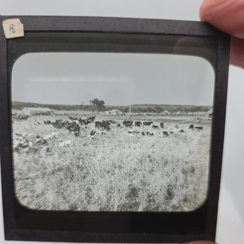Glass magic lantern slide - magic,