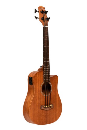 Gold tone electro acoustic - gold,