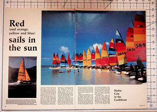 Hobie cat sailing race - cat,