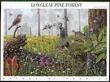 (@58) 2002 LONGLEAF PINE FOREST 4th Nature of America MNH Sheet