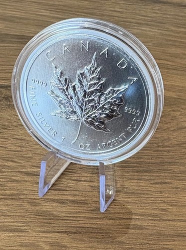 1997 canadian silver maple - $5,