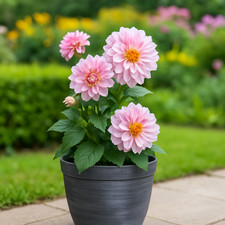 Modern Silver Helix Planter Tall 10" Decorative Plant Pot for Home & Garden