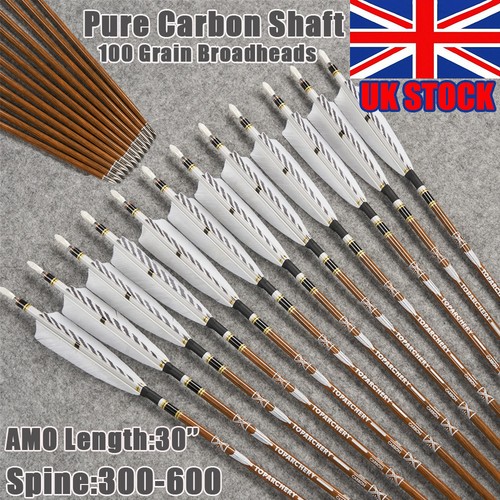 12pcs archery pure carbon - 12pcs,