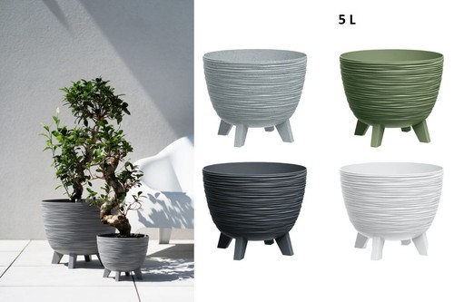Round plant pots - plant, with
