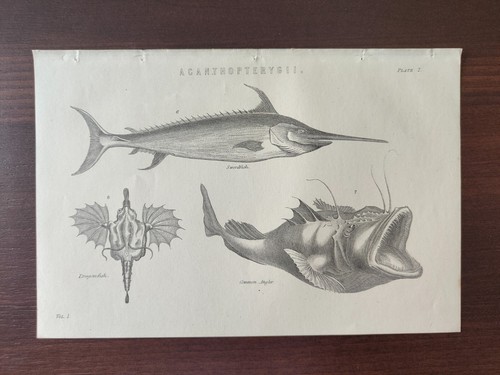 Antique original w -  antique,
