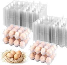 100 Pack 12 Count Plastic Egg