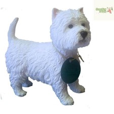 Beautiful West Highland