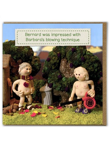 Funny birthday card nudinits - card,