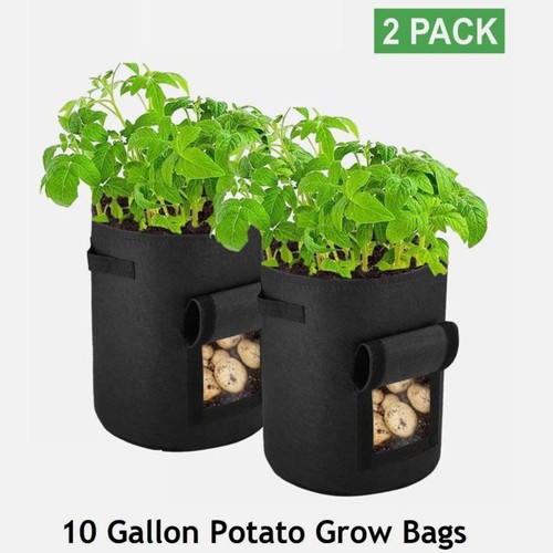 2pack gallon potato grow - 10,