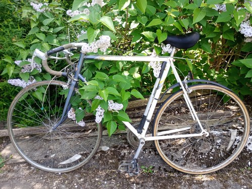 Raleigh equipe classic - raleigh, road