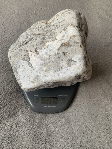 Giant cornish rock ives - giant,