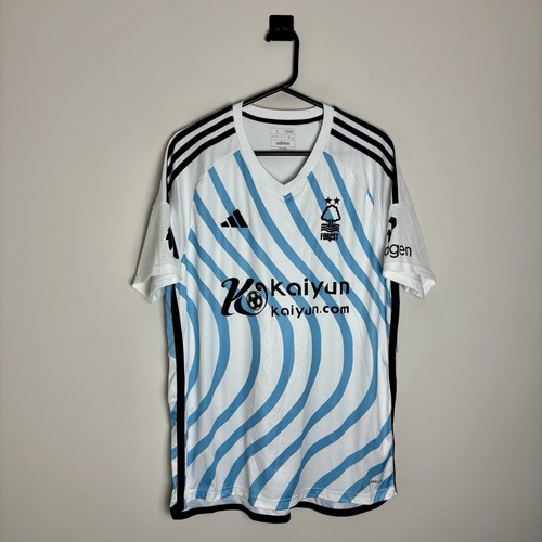 Nottingham forest football - nottingham,