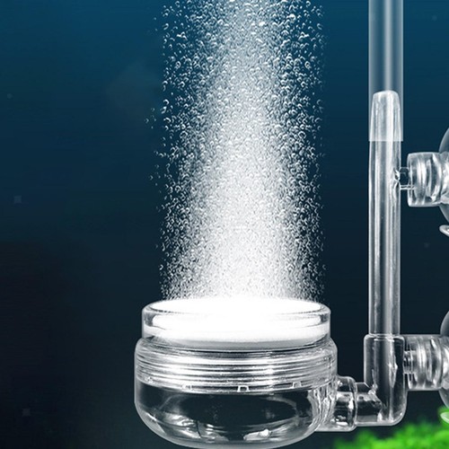 Aquarium co2 diffuser - aquarium,