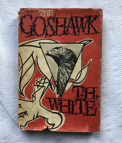 The goshawk white 1st - t, h