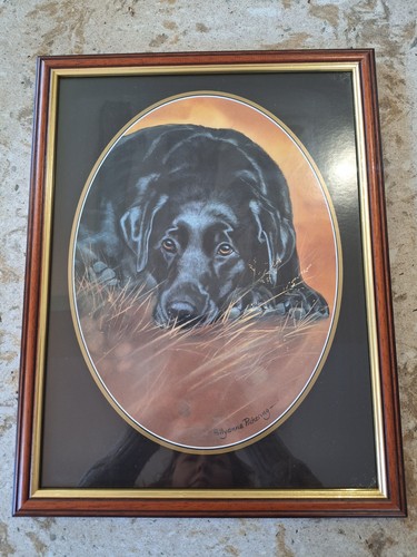 Framed print black labrador - black,