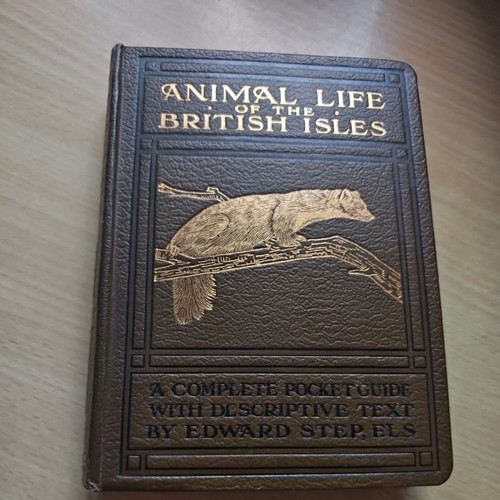 1921 animal life - 1921,