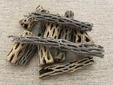 10x mix sized Cholla Wood 4