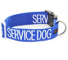 SERVICE DOG Blue Nylon S M L