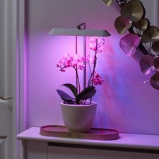 Auraglow usb led - auraglow,