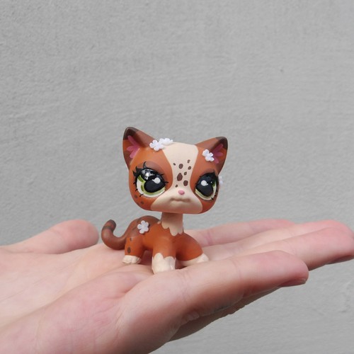 Littlest pet shop ooak - littlest,
