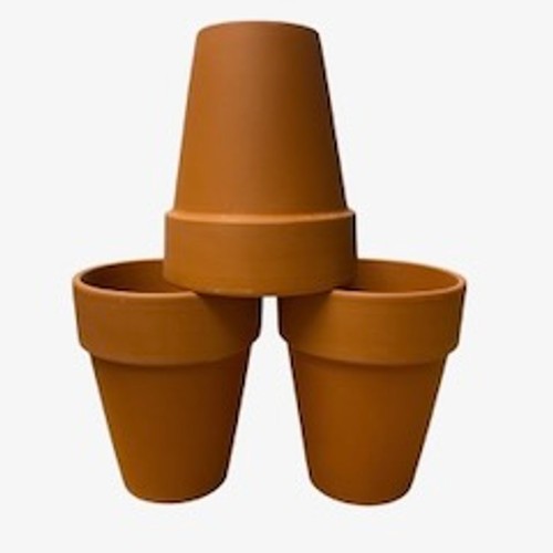 Elegant terracotta plant pots - plant,