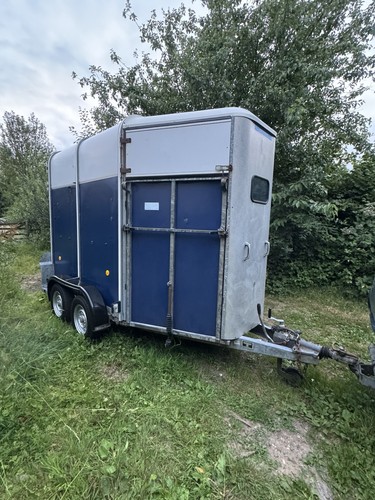 Ifor williams 505 horse box