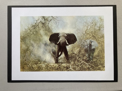 African wildlife print - african,