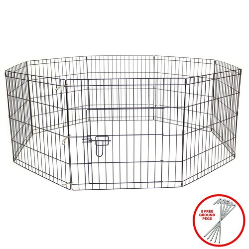 Avc pet dog - avc,